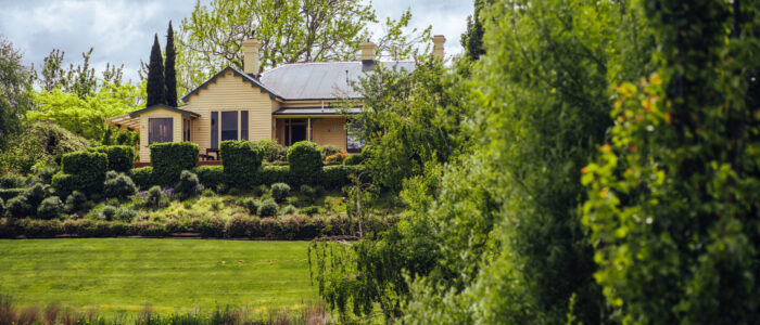 A picturesque yellow house with a tin roof sits atop a lush, manicured hill surrounded by trees and shrubs. The scene overlooks a calm body of water, with a well-maintained lawn and vibrant greenery framing the view.