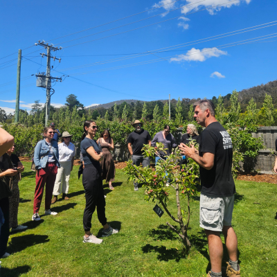 Group of people standing on a grassy area in an orchard, listening to a person speaking near a small tree, with rows of trees, hills, and power lines visible in the background under a clear blue sky.