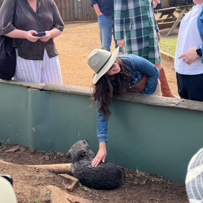 Person wearing a wide-brimmed hat and denim jacket leaning over a low enclosure to gently touch a wombat, with others standing nearby in an outdoor setting featuring wooden fencing and picnic tables.