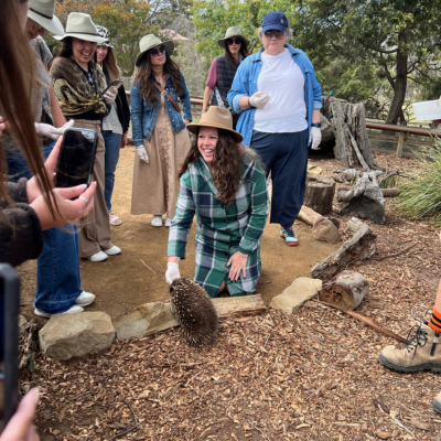 Person kneeling on a dirt path petting an echidna, surrounded by a group of people observing in an outdoor wildlife setting with rocks, trees, and wooden logs.